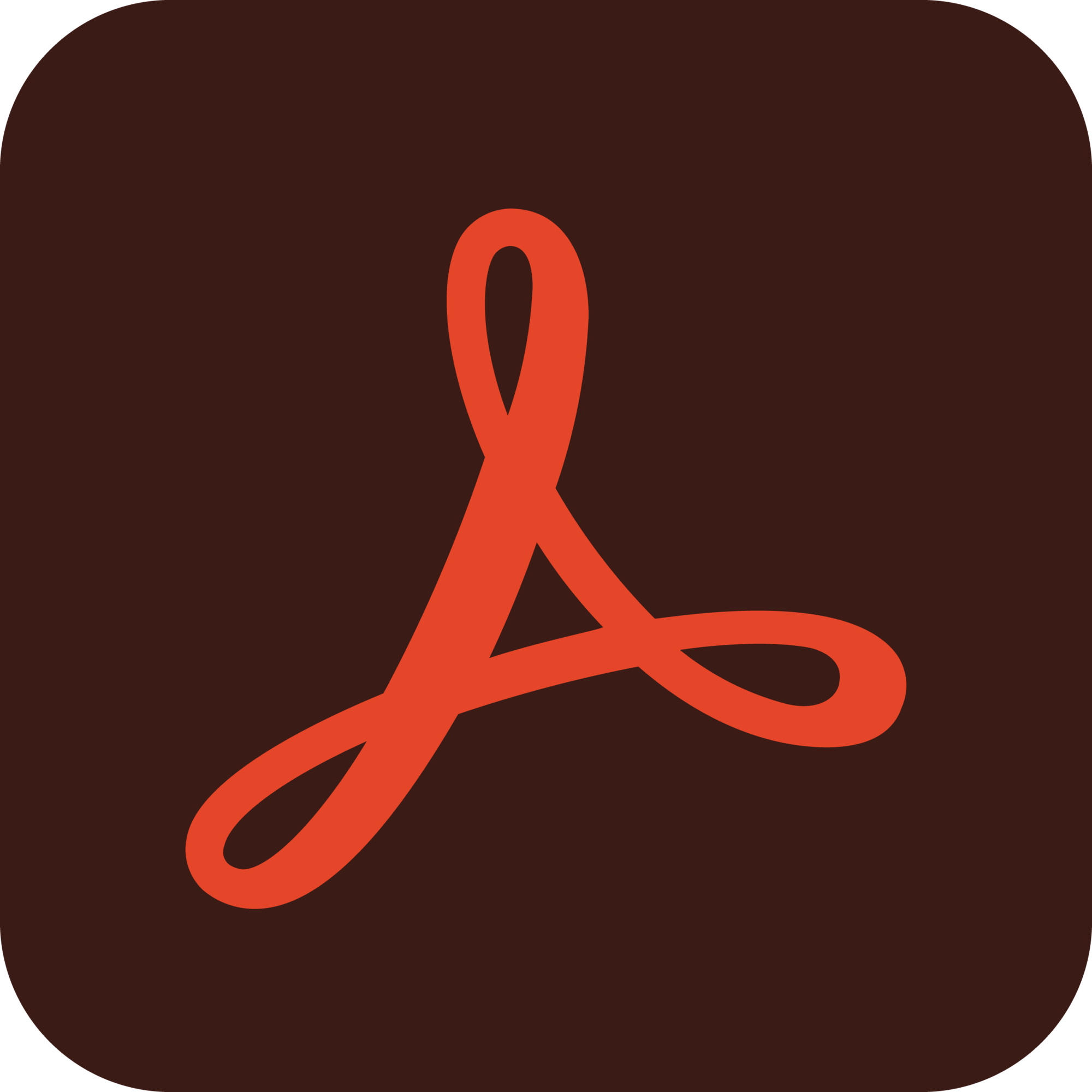 Adobe Acrobat Pro